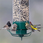 Squirrel proof bird feeder with rotating perch, 4 feeding ports and heavy-duty metal construction