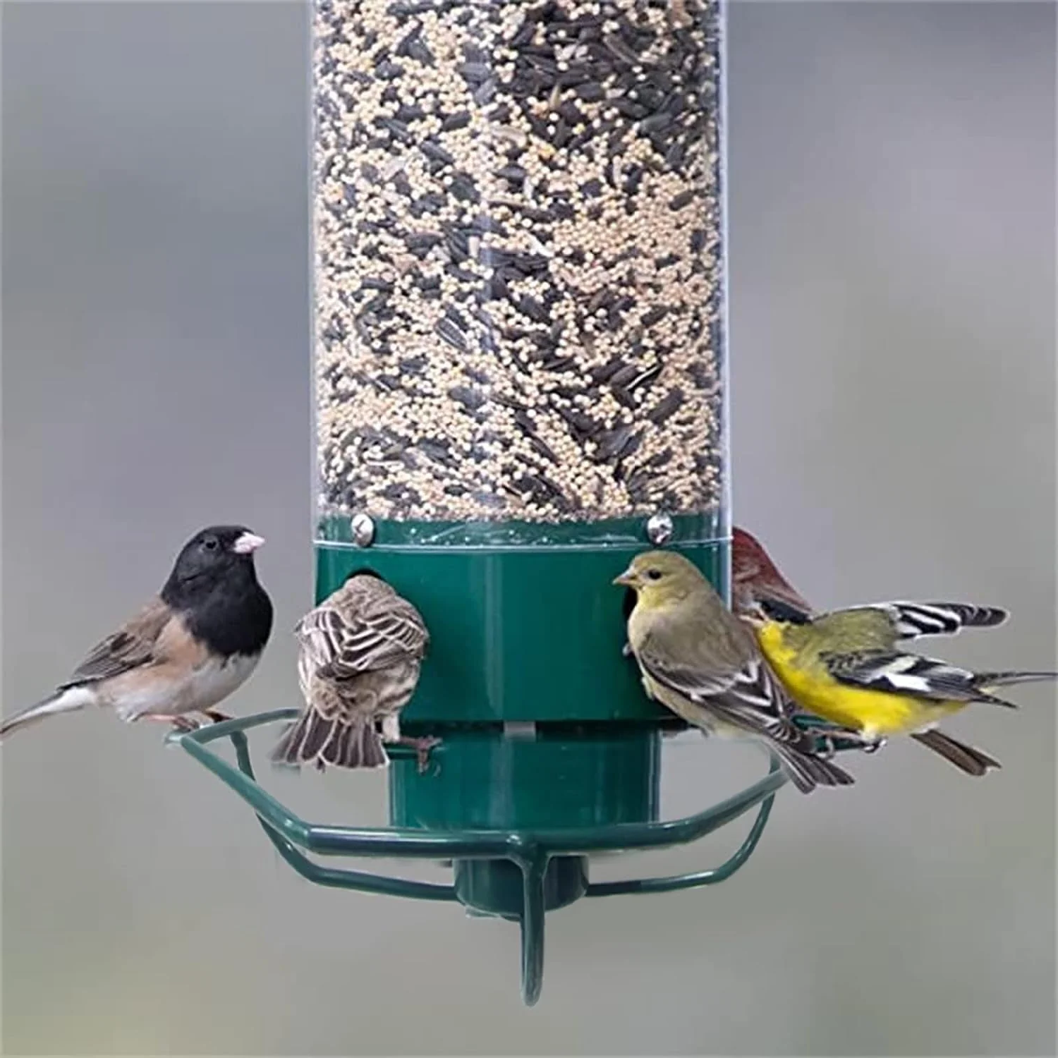 Squirrel proof bird feeder with rotating perch, 4 feeding ports and heavy-duty metal construction