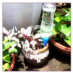 12 pack automatic plant watering spikes adjustable flow for indoor and outdoor pots