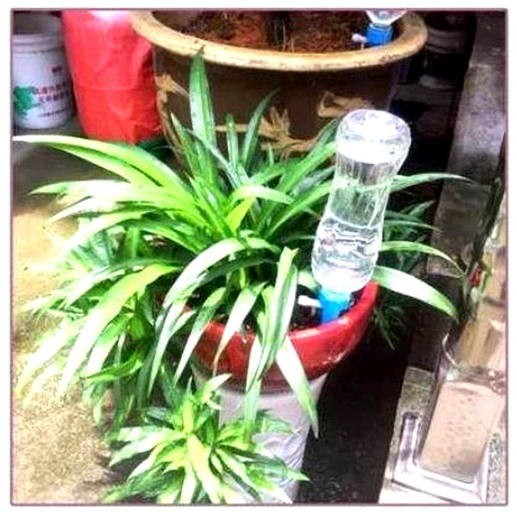 12 pack automatic plant watering spikes adjustable flow for indoor and outdoor pots