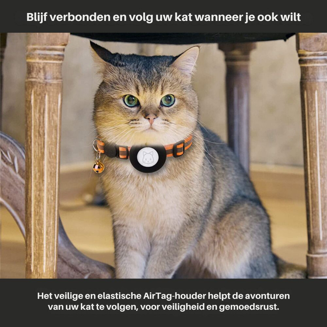 Cat GPS tracker collar with reflective design and quick release closure